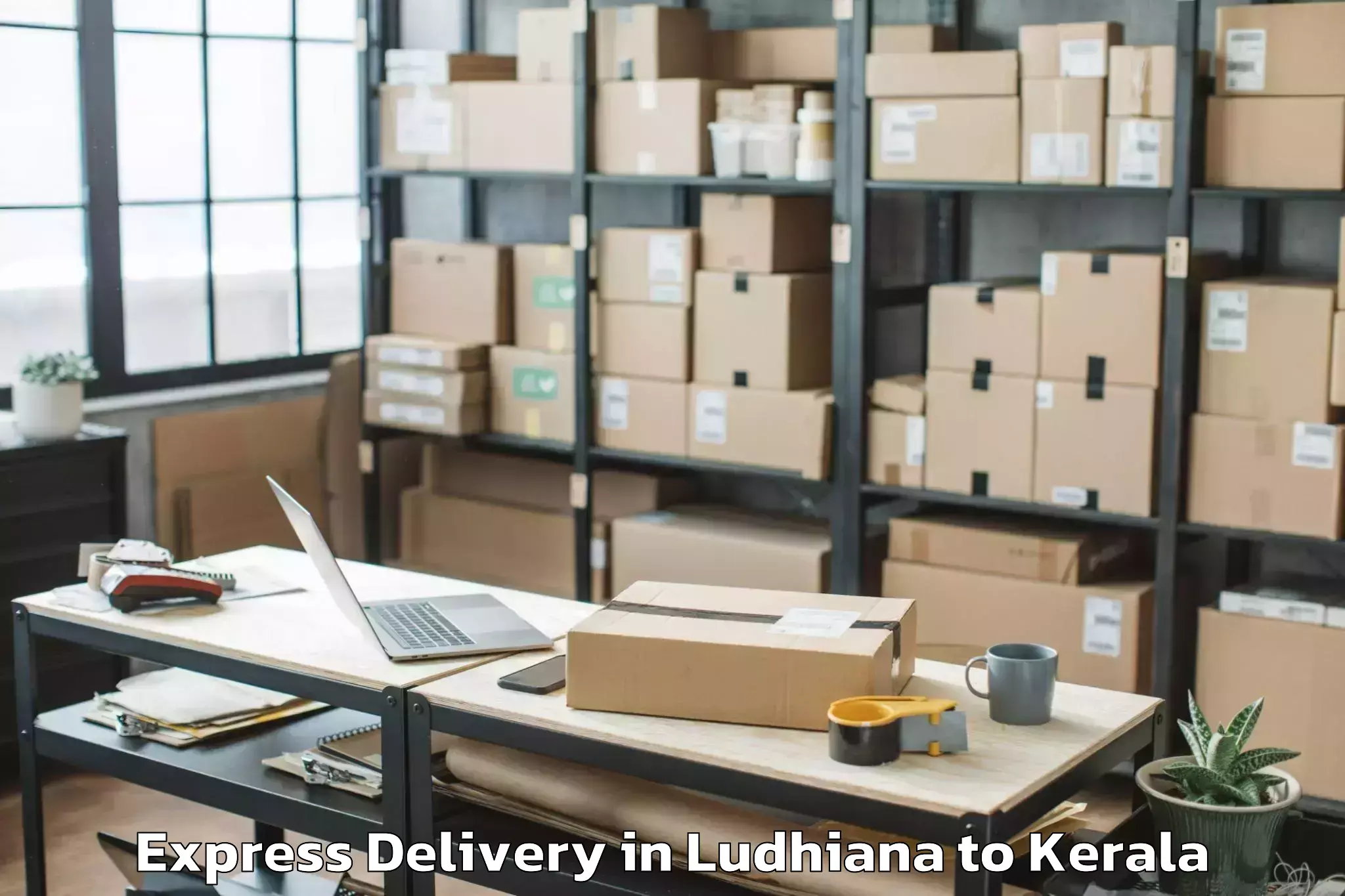 Book Ludhiana to Kozhenchery Express Delivery Online